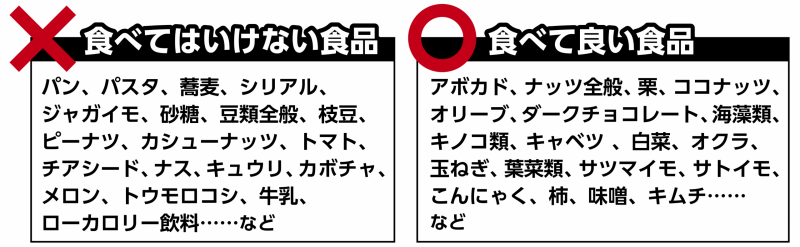 食のパラドックス 6週間で体がよみがえる食事法 Pdf版 Seshop Com 翔泳社の通販