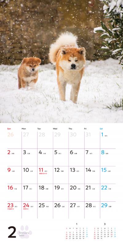 むくむくもふもふ 秋田犬 カレンダー 酒巻 洋子 翔泳社の本