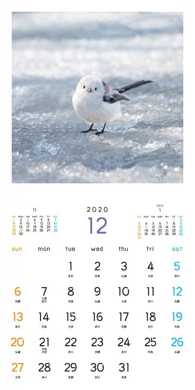 もふもふふわふわ シマエナガ カレンダー 2020（吉永 勝啓）｜翔泳社の本