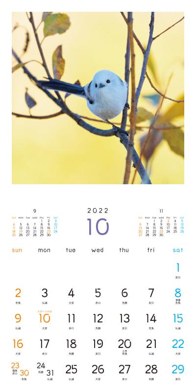 もふもふふわふわシマエナガ カレンダー 2022（吉永 勝啓）｜翔泳社の本