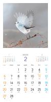 もふもふふわふわシマエナガ カレンダー 22 Seshop Com 翔泳社の通販