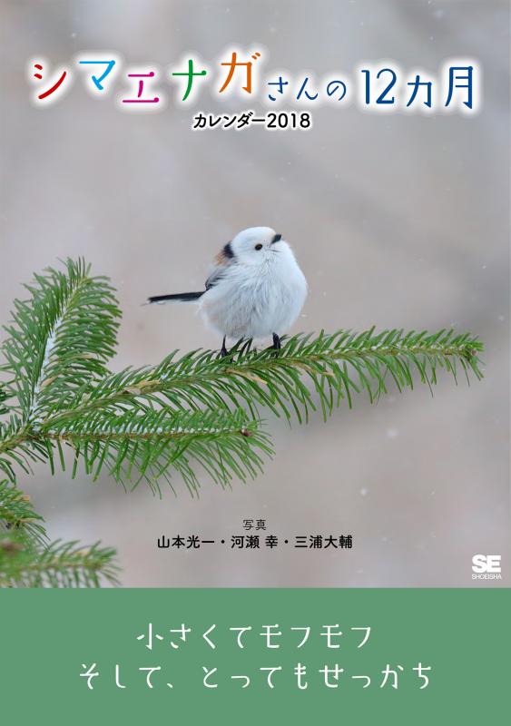 シマエナガさんの12ヵ月 カレンダー 18 卓上 山本 光一 河瀬 幸 三浦 大輔 翔泳社の本