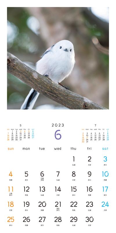 もふもふふわふわシマエナガ カレンダー 2023 ｜ SEshop｜ 翔泳社の本・電子書籍通販サイト