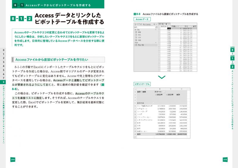 Excelピボットテーブル データ集計・分析の「引き出し」が増える本 第2