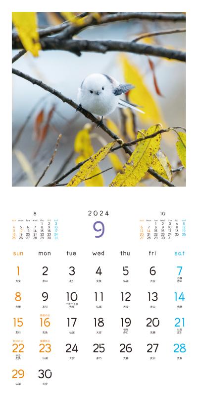 もふもふふわふわシマエナガ カレンダー 2024 ｜ SEshop｜ 翔泳社の本