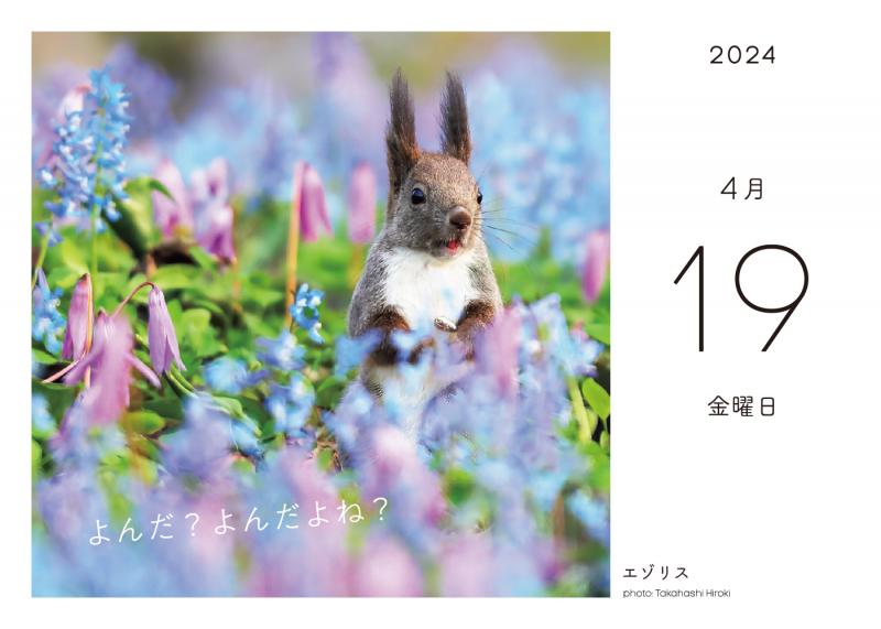 2024年 カレンダー リス - 小動物用品