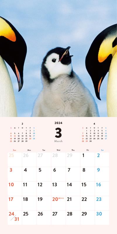 ふわふわペンギンdays カレンダー 2024 - uniqueemployment.ca