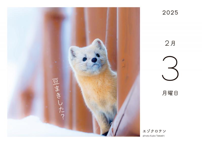 ふわもこ365日いやしの動物 日めくりカレンダー 2025 ｜ SEshop｜ 翔泳社の本・電子書籍通販サイト