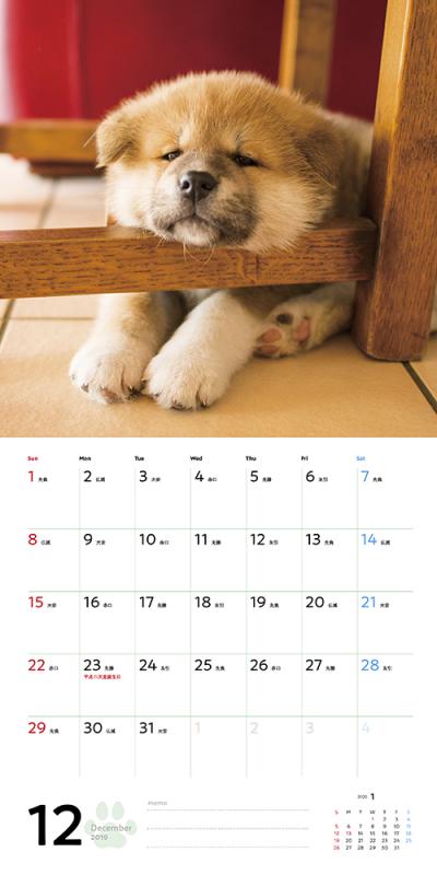 むくむくもふもふ 秋田犬 カレンダー 19 酒巻 洋子 翔泳社の本